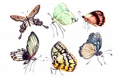 Beautiful watercolor butterflies Product Image 5