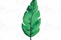 Tropical Paradise watercolor clip art pack, watercolor tropical leafs and flowers. Watercolor Toucan, PNG, jpg, svg, vector files included Product Image 8