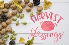 SVG Bundle Fall, Harvest SVG, Farm SVG, Autumn quotes svg Product Image 6