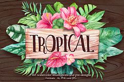 Tropical. Watercolor illustrations. Product Image 1