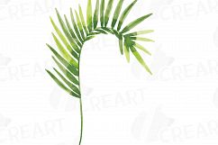 Watercolor Flamingos Clipart with watercolor leafs. 5 flamingos and 7 green leafs, flamingos and leafs collection, greenery, diy invitation Product Image 11