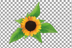 Sunflower watercolor clip art pack, watercolor sunflower design elements, floral PNG, jpg, svg, vector illustrator &amp; corel files included Product Image 12
