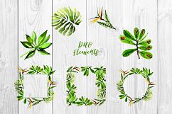 Tropical leaves PNG watercolor set Product Image 5