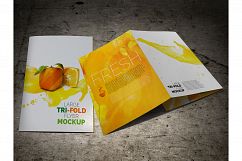 Large Trifold Brochure Mockup Product Image 10