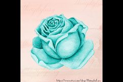 100 Watercolor Roses Clip Arts, Romantic Valentine Scrapbook Product Image 3
