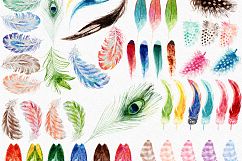 Feathers Watercolor Illustrations Product Image 8