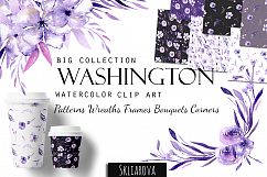 &quot;Washington&quot;. Big purple collection. Product Image 1
