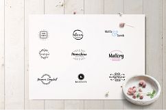 Allure Feminine logo pack Product Image 12
