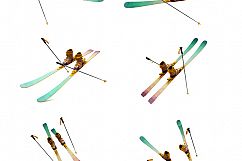 Ski Mockup  Product Image 2
