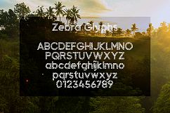 Zebra Product Image 2