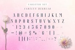 Fadelyn - Font Duo Product Image 6