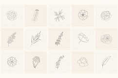 165 Hand Drawn Floral Elements, Frames. Product Image 8