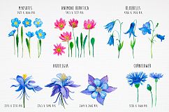 Spring flowers. Watercolor. Product Image 4