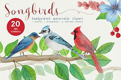 Song Birds Watercolor Clipart Product Image 1