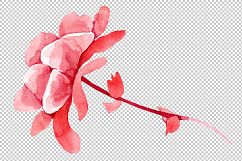 Begonia flower plant PNG watercolor set Product Image 5
