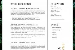 FERNS Resume/CV + Cover Letter Product Image 7