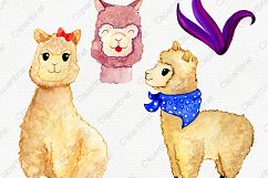 WATERCOLOR LLAMAS &amp; CACTUS Clipart Llama Clip Art Cute Alpacas Succulents Cacti Plants Hand Drawn Clipart Kawaii Llama Graphics Product Image 2