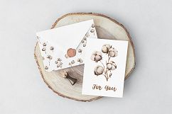 Watercolour Cotton clipart, branches winter watercolor Product Image 5
