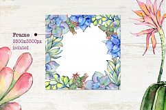 Succulents cactus PNG watercolor Product Image 8