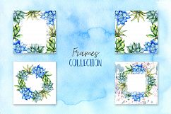 Succulent blue tropical plant PNG set Product Image 8