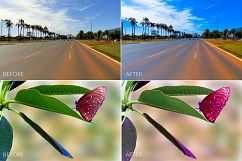 Tropical Lr Presets Product Image 11