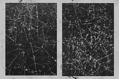 The Dusty Inklab Grunge Sample Pack Product Image 19