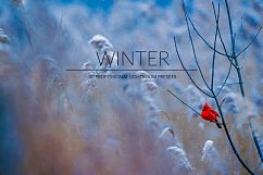 Winter Lr Presets Product Image 1