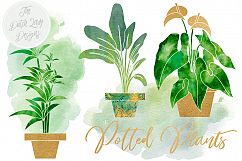 Potted Plants Clipart Set Product Image 2