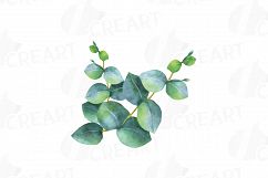 Eucalyptus leaves and branches watercolor clip art pack, Eucalyptus design elements. PNG, jpg, svg, vector illustrator &amp; corel files included Product Image 8