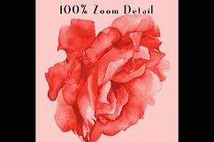 100 Seamless Wedding Watercolor Rose Flower Digital Papers Product Image 4
