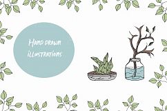 Plants Vector clipart &amp; patterns Vector greens and leaves Product Image 3