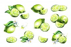 Lime. Watercolor collection Product Image 3