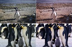 Antarctic Lr Presets Product Image 2