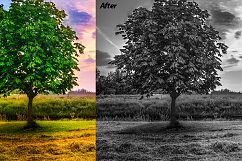 Mixed Bundle - 2018 Lightroom Presets Product Image 2