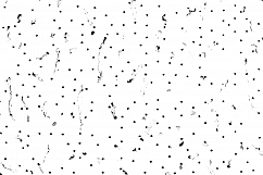 18 Transparent Grunge Textures Product Image 2