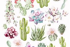 Watercolor SUCCULENTS &amp; CACTUSES Product Image 2