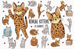 Bengal Kittens Product Image 1