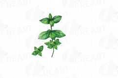 Herbs and Spices clip art pack, Watercolor herbs and spices chart, kitchen herbs, food print. PNG, jpg, svg, vector illustrator &amp;corel files Product Image 20