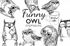 Funny owl collection Product Image 1