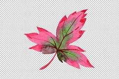 Colorful autumn leaves watercolor png set Product Image 5