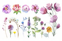 Wild Flowers watercolor PNG clipart Product Image 4