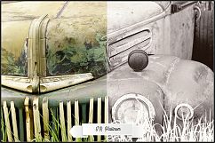 Infrared Monochrome Master Profiles LR7.3 ACR10.3 Product Image 30