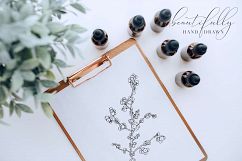 Botanical Illustrations Vol.2 Product Image 4