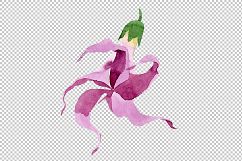 Wildflower burgundy Brugmansia PNG watercolor set Product Image 8