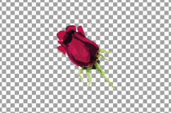 Watercolor Red and Burgundy Roses and leafs clip art pack Product Image 19
