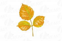 Autumn leafs watercolor clip art pack, watercolor fall frame Product Image 8