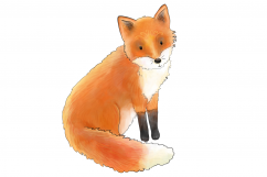 Magical Woodland -11 illustrations|animals and elements Product Image 4