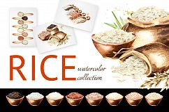 Rice. Watercolor collection Product Image 1