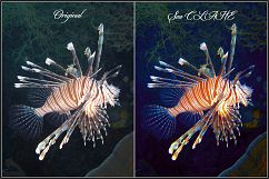 Dive Fix &amp; HDR LUTs Product Image 10