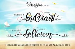 Wellington Font Duo  Extras Product Image 3